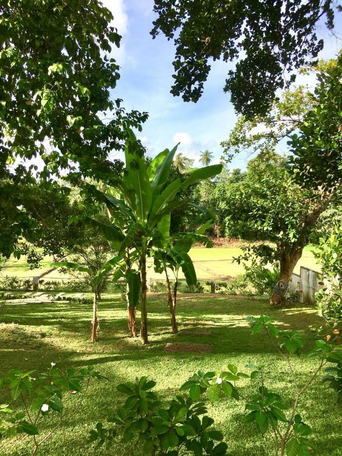 Uyana Boutique Hotel And Retreat Adults Only Ahangama Exterior foto